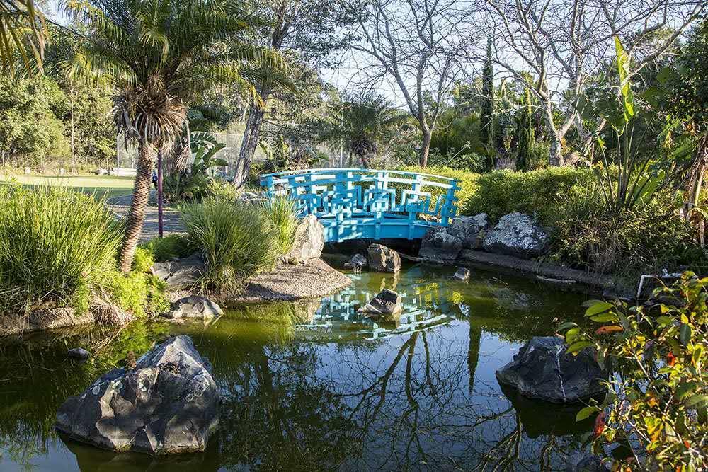 Seaside Garden Retreat Accommodation Wamberal Екстериор снимка